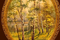 Березы